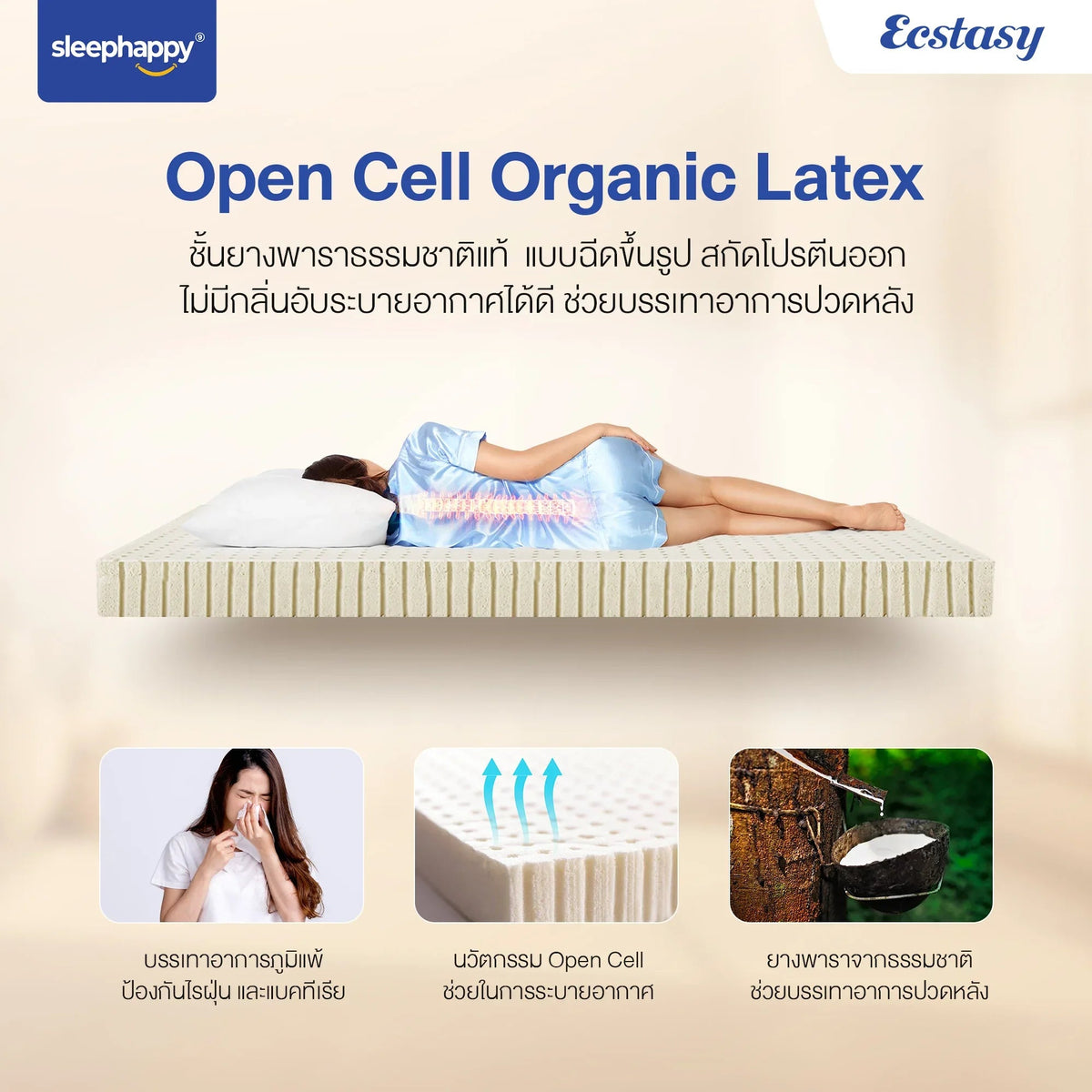 ที่นอนพ็อกเก็ตสปริงผสานยางพาราธรรมชาติแท้ 100% เสริม Pillow top รุ่น Ecstasy หนา 12 นิ้ว สัมผัสนุ่มแน่น - sleep-happy-th
