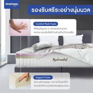 ที่นอนพ็อกเก็ตสปริง รุ่น Splendid สัมผัสนุ่มกึ่งแน่น สไตล์โรงแรม ลดเเรงสั่นสะเทือนได้ดี - sleep-happy-th