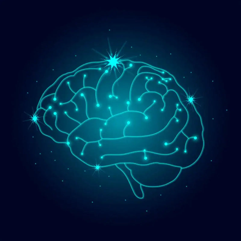 How to sleep for a good memory