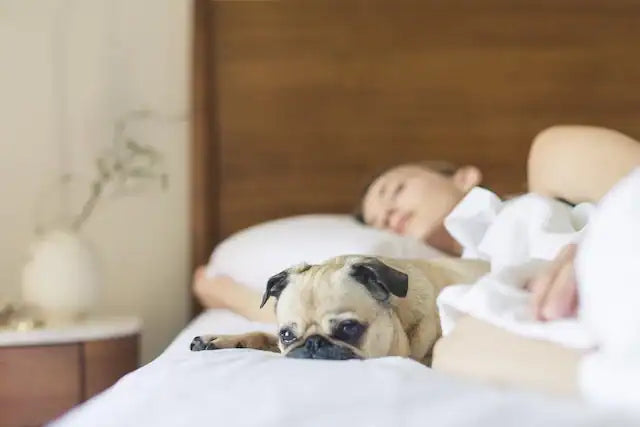 How to adjust your sleep schedule