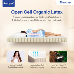 ที่นอนพ็อกเก็ตสปริงผสานยางพาราธรรมชาติแท้ 100% เสริม Pillow top รุ่น Ecstasy หนา 12 นิ้ว สัมผัสนุ่มแน่น - sleep-happy-th