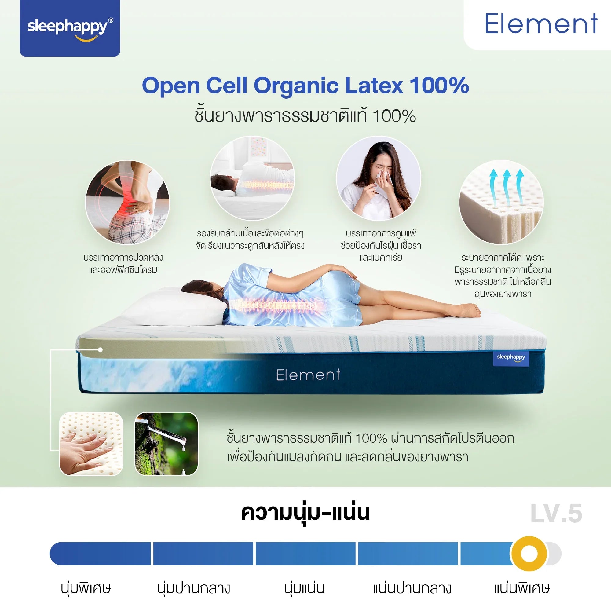 ที่นอนยางพาราธรรมชาติ 100% รุ่น Element ที่นอนเพื่อสุขภาพ รองรับสรีระและแรงกดทับได้ดี - sleep-happy-th