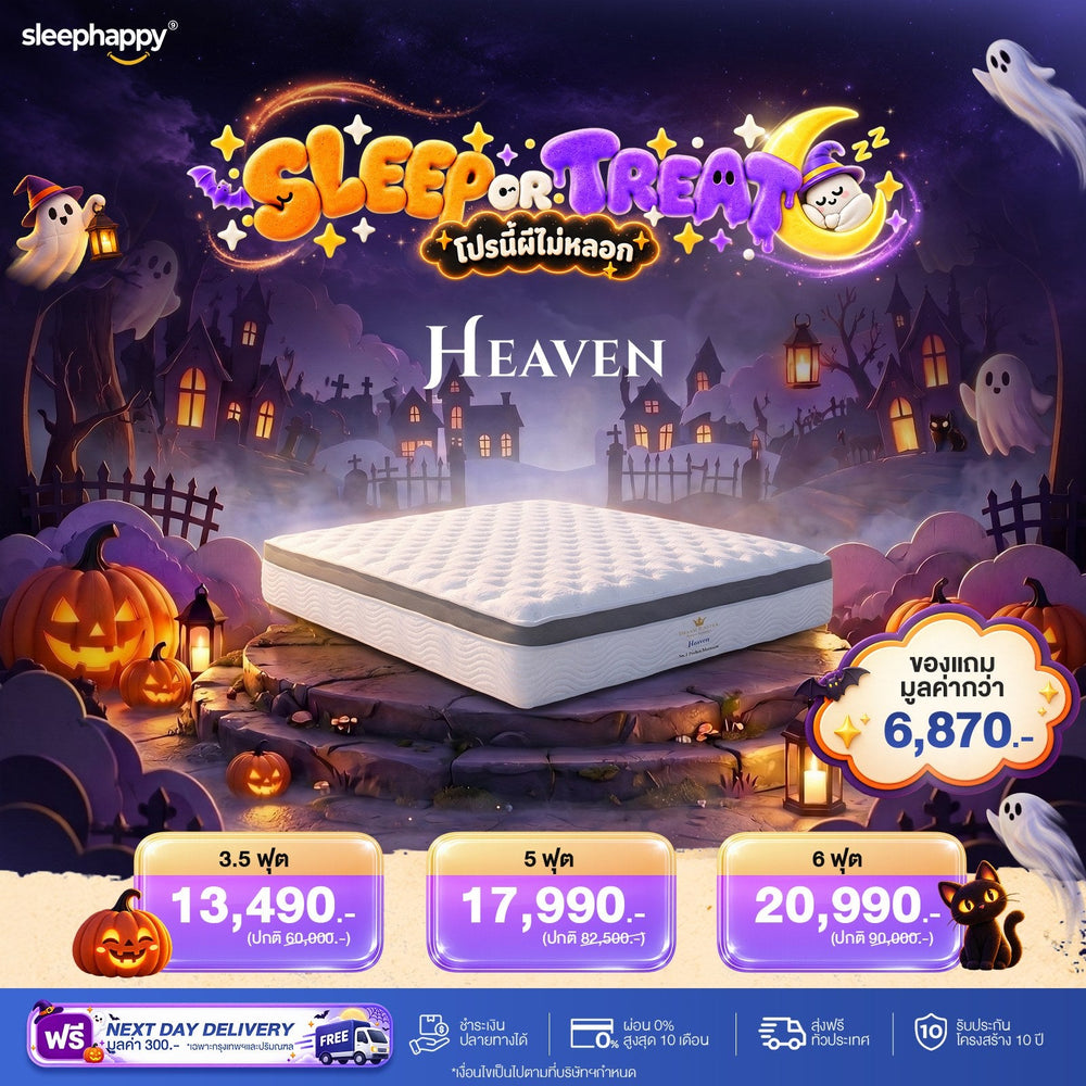 ที่นอน Dream Master Heaven