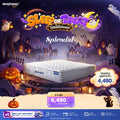 Splendid Pocket Spring Mattress, soft and semi-firm to the touch, hotel style, reduces vibration well.